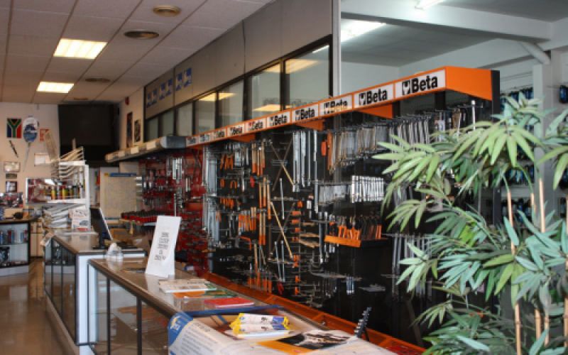 Taulell de la botiga amb plantes deoratives